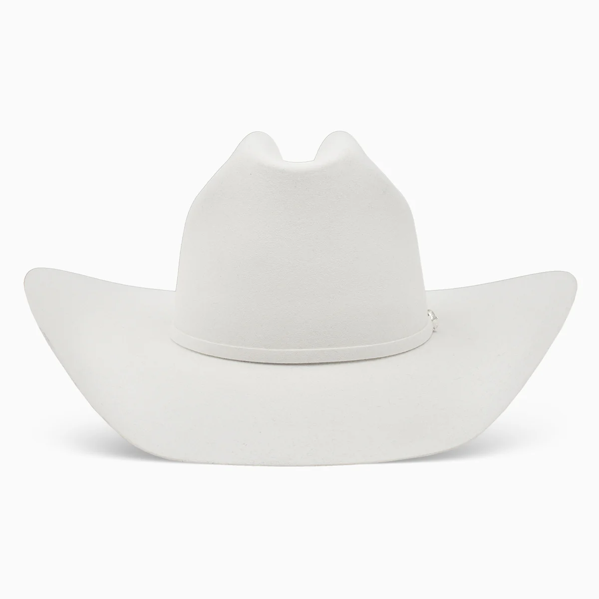 40X Arena Cowboy Hat - Image 3