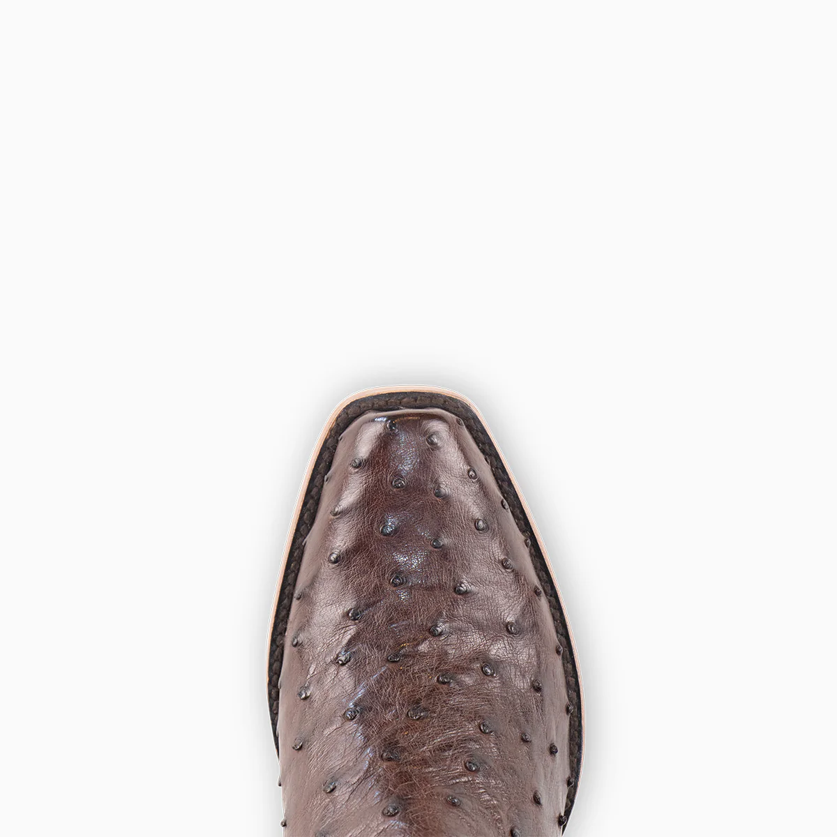 Brown Full Quill Ostrich - Cutter - Image 6