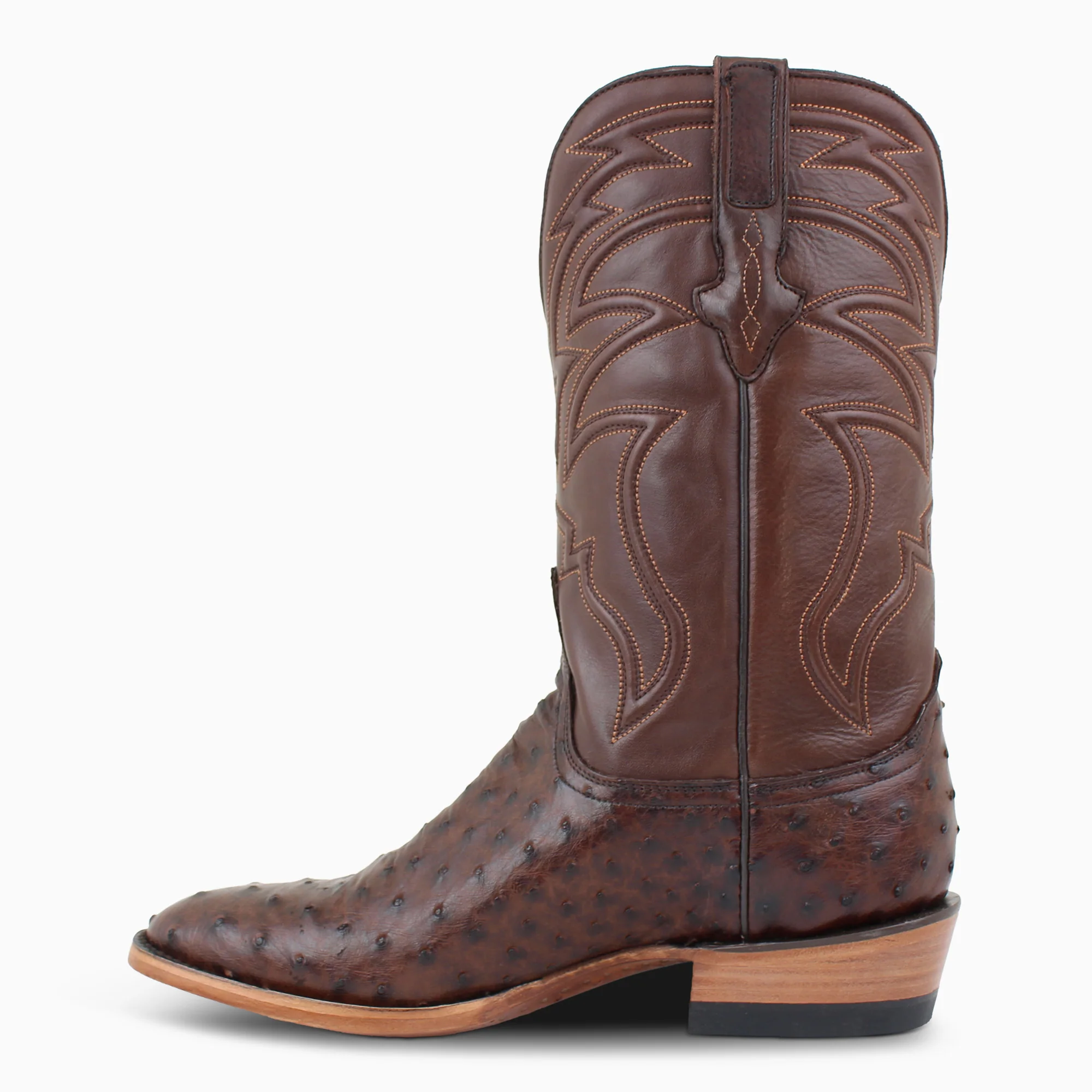 Brown Full Quill - Round - Image 3
