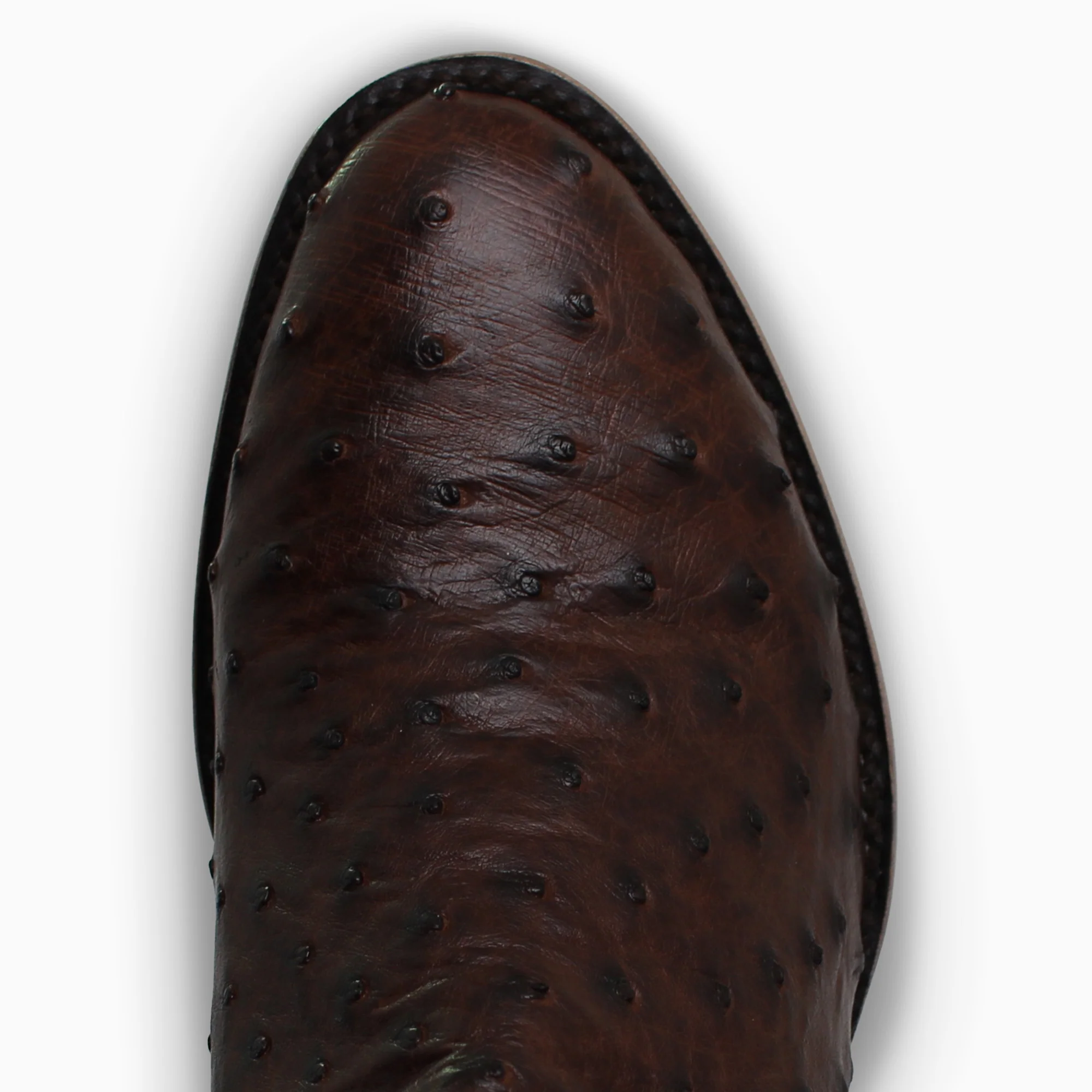 Brown Full Quill - Round - Image 6