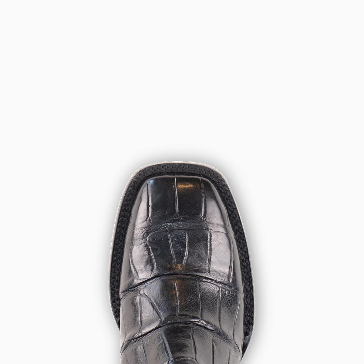 Black Alligator - Square - Image 6