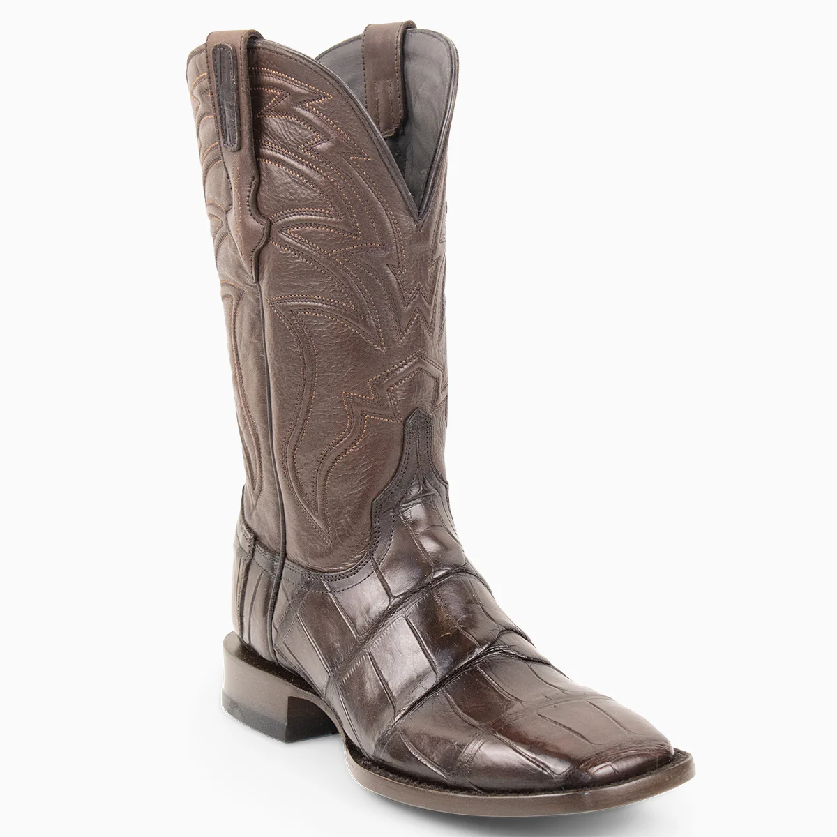 Brown Alligator - Square - Image 2