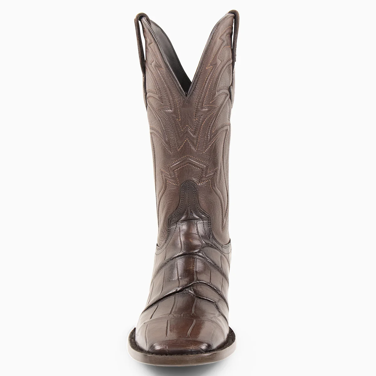 Brown Alligator - Square - Image 3
