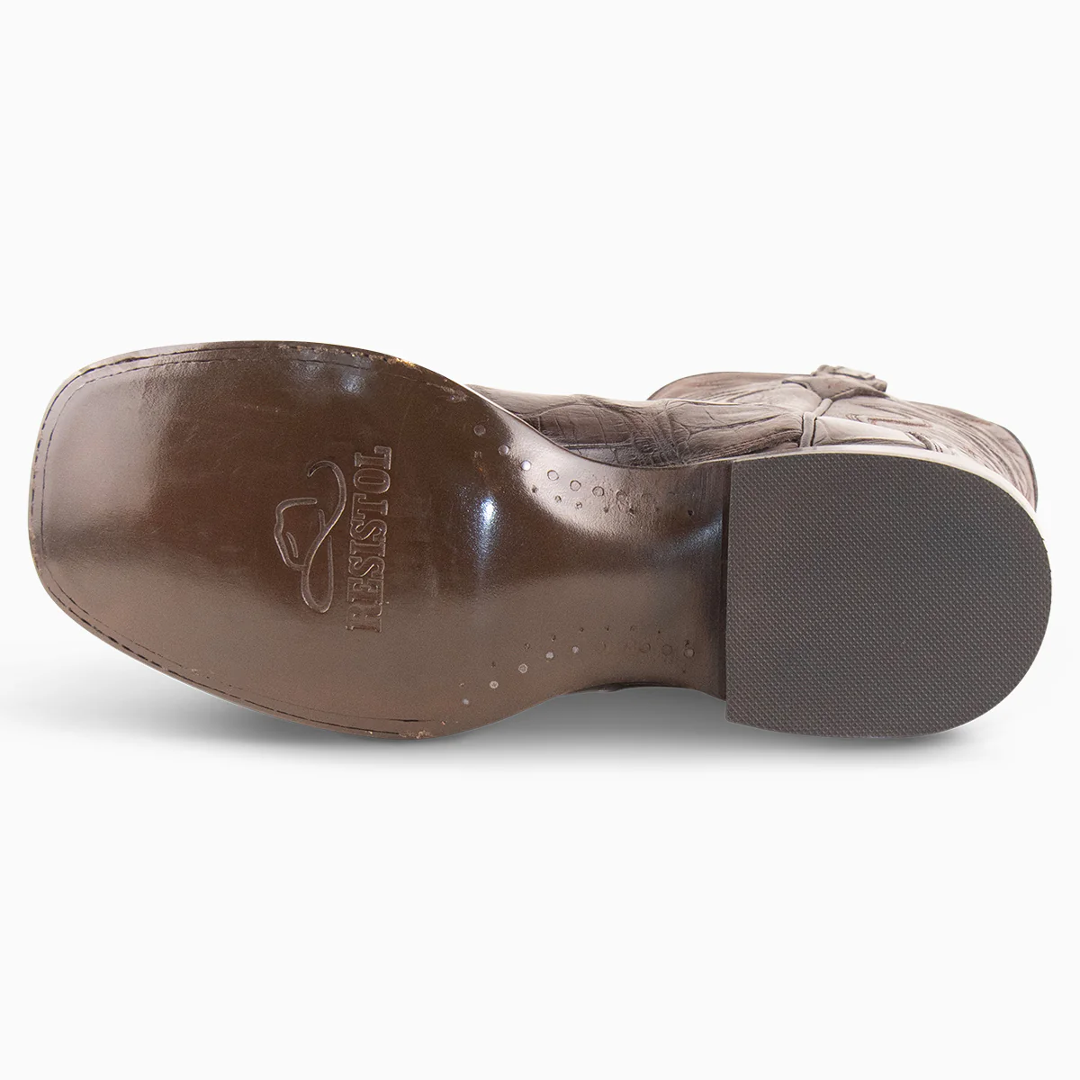 Brown Alligator - Square - Image 4