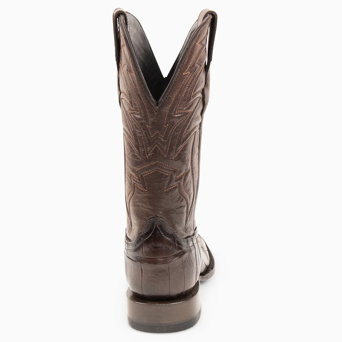 Brown Alligator - Square - Image 5