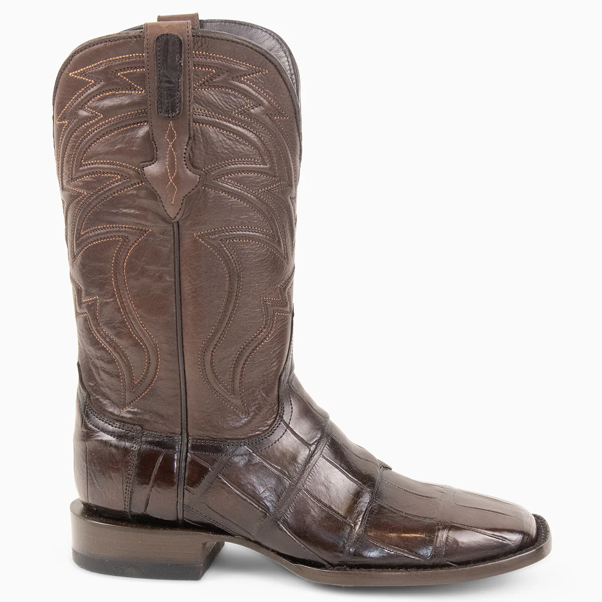 Brown Alligator - Square - Image 6