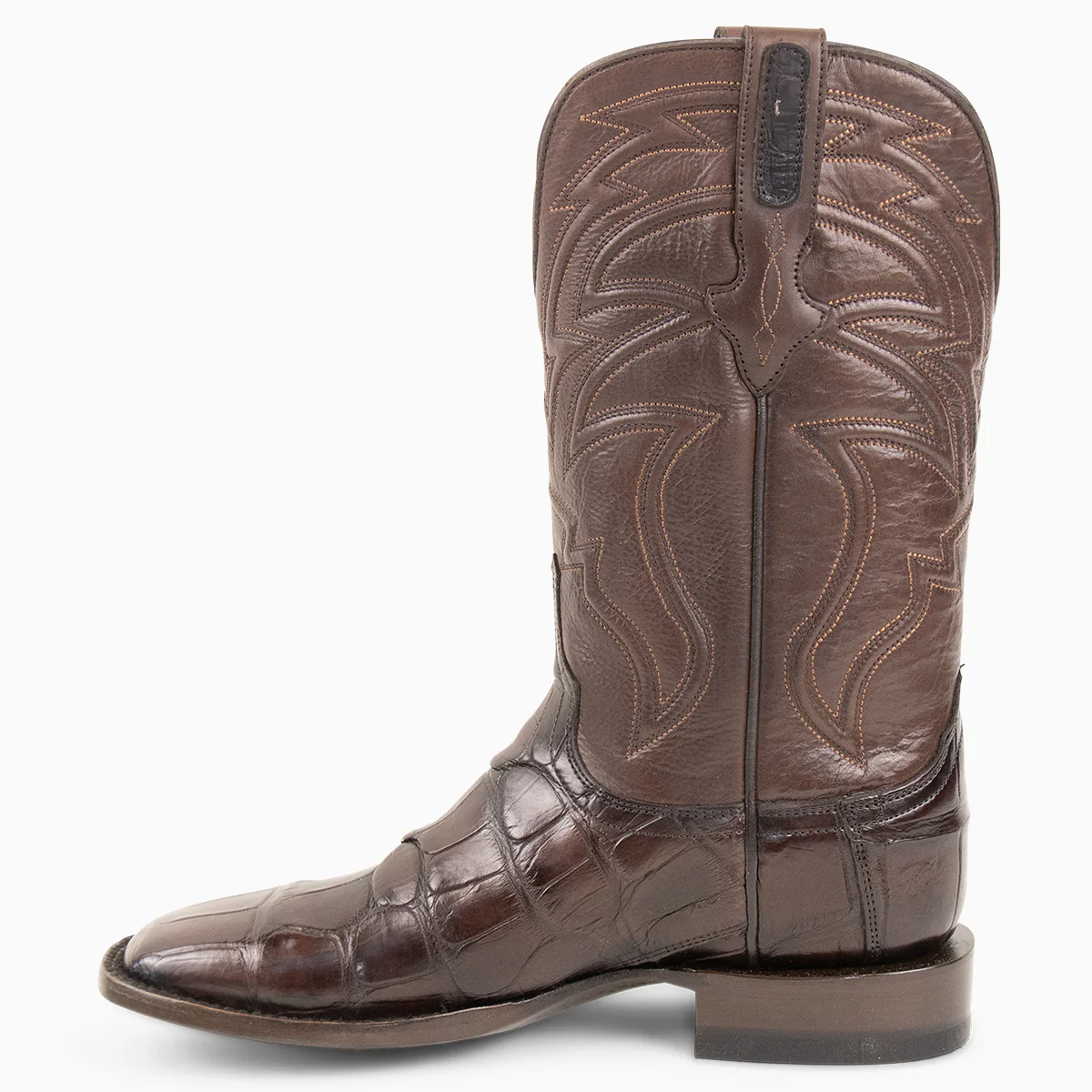 Brown Alligator - Square - Image 7