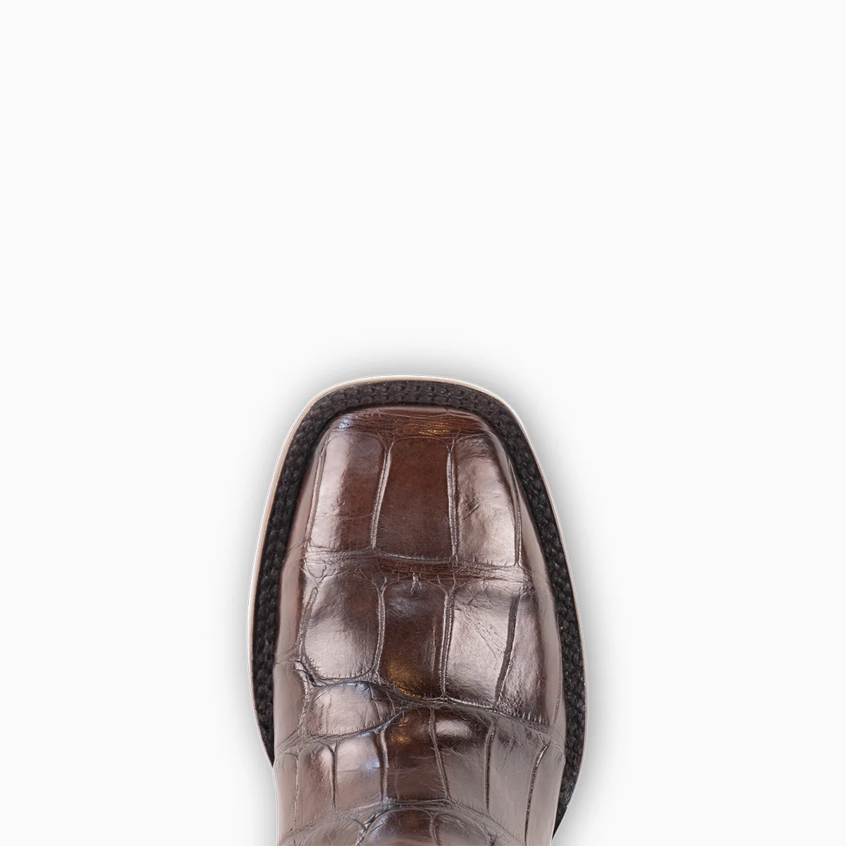 Brown Alligator - Square - Image 8