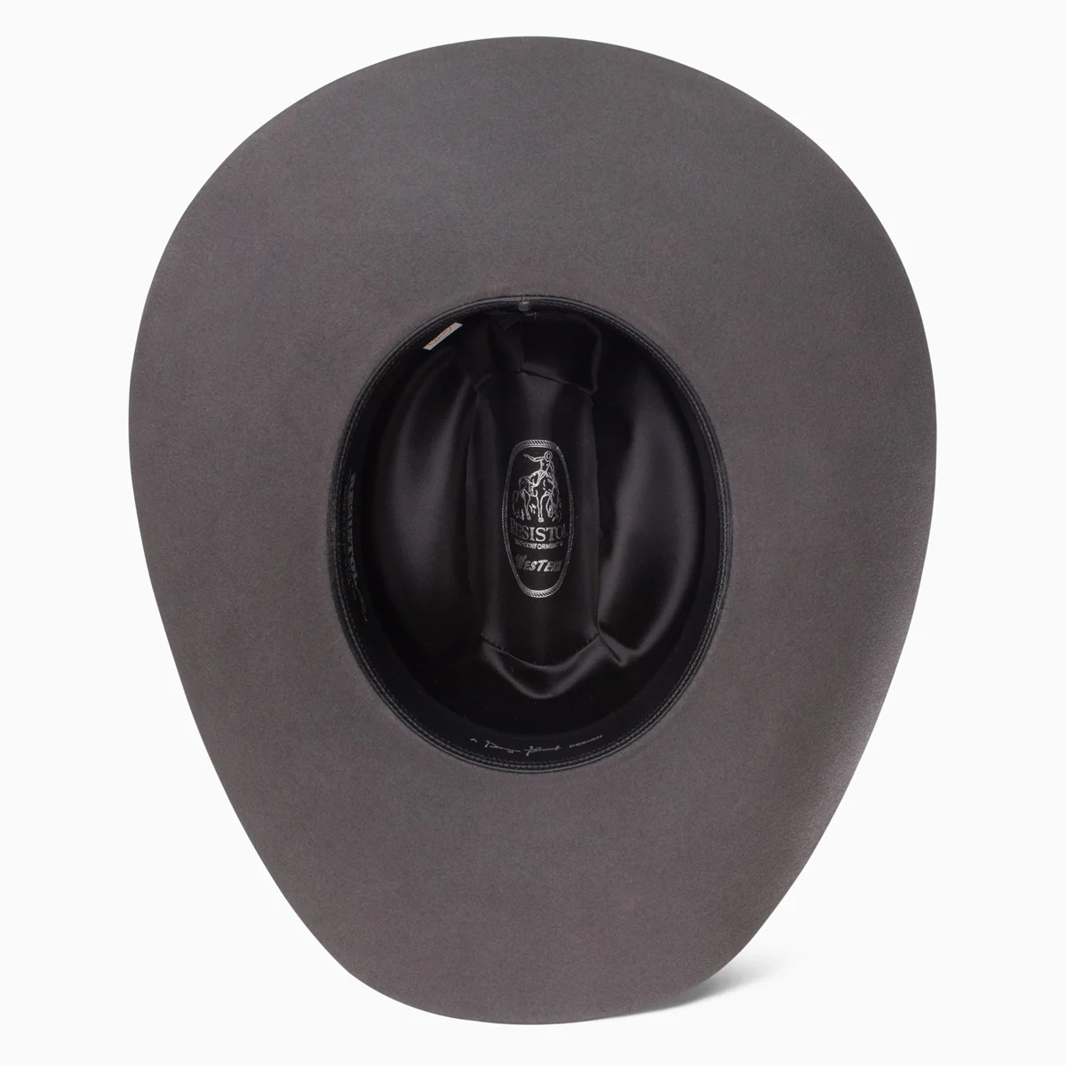 6X Logan - George Strait Cowboy Hat - Image 6