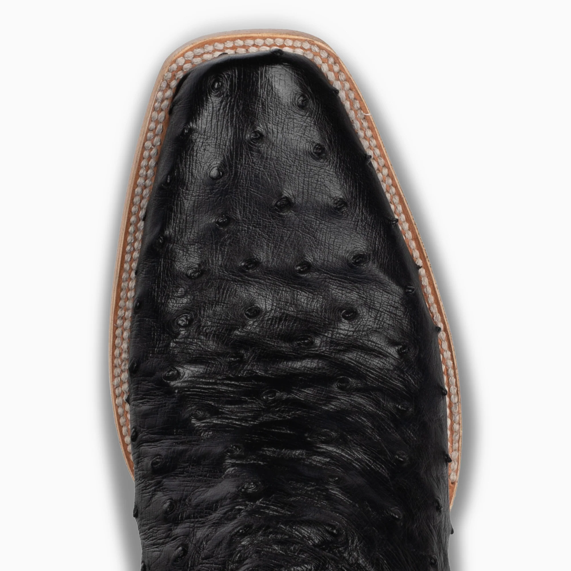 Black Full Quill Ostrich - Cutter - Image 6
