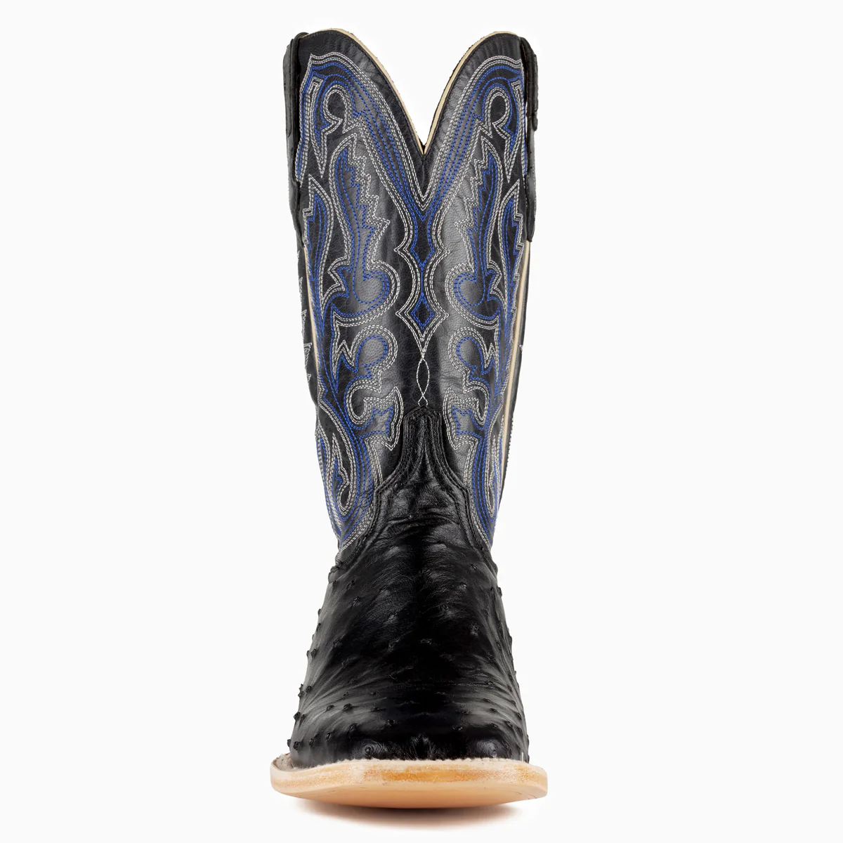 Black Full Quill Ostrich - Square - Image 4