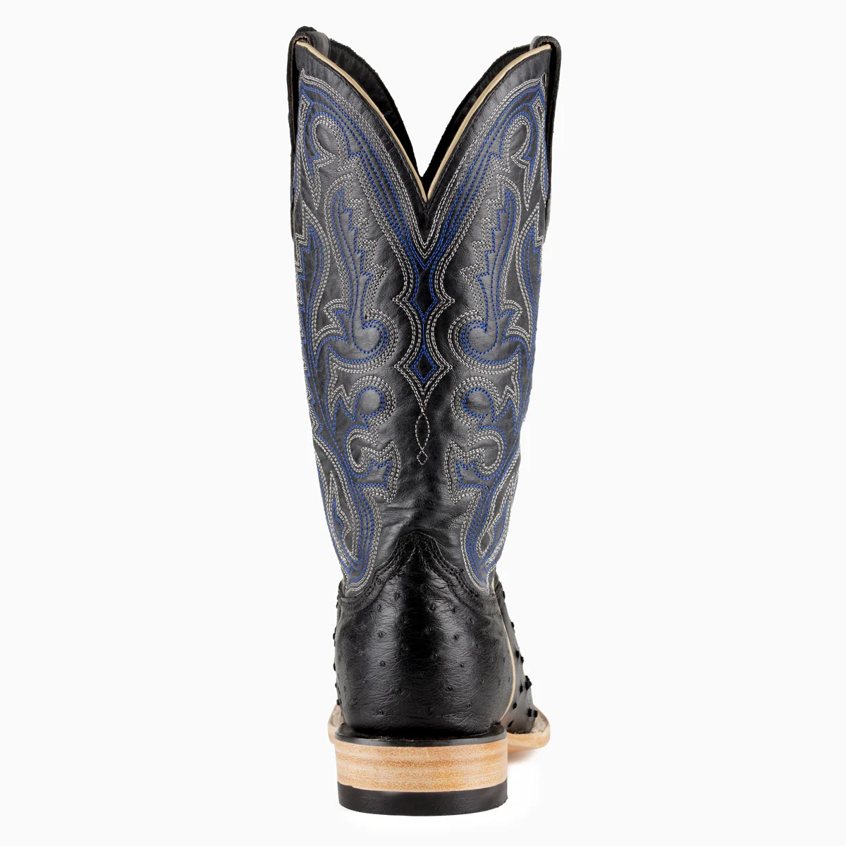 Black Full Quill Ostrich - Square - Image 5