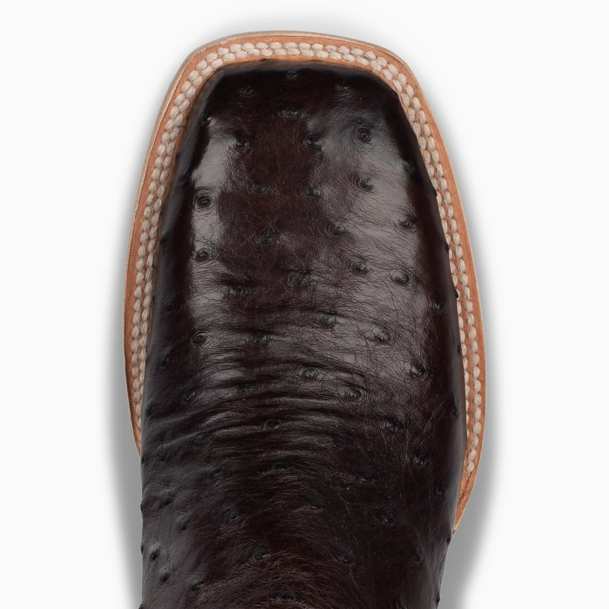 Nicotine Full Quill Ostrich - Square - Image 6