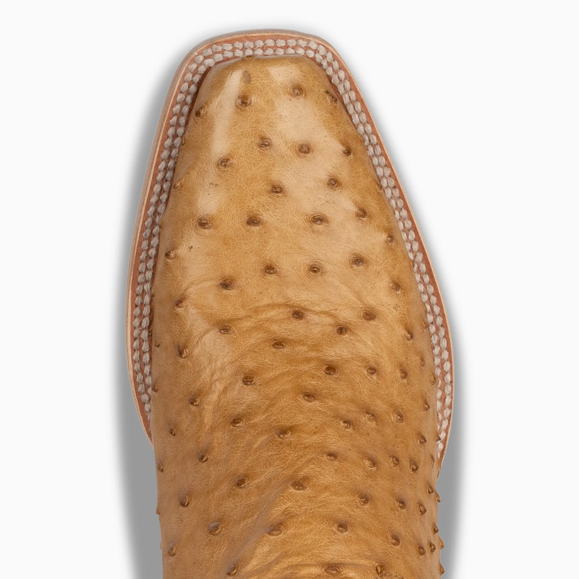 Saddle Tan Full Quill Ostrich - Cutter - Image 6