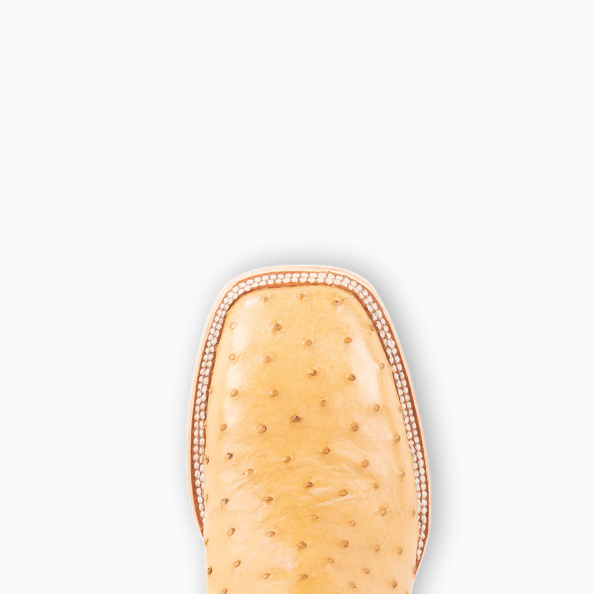 Saddle Tan Full Quill Ostrich - Square - Image 6