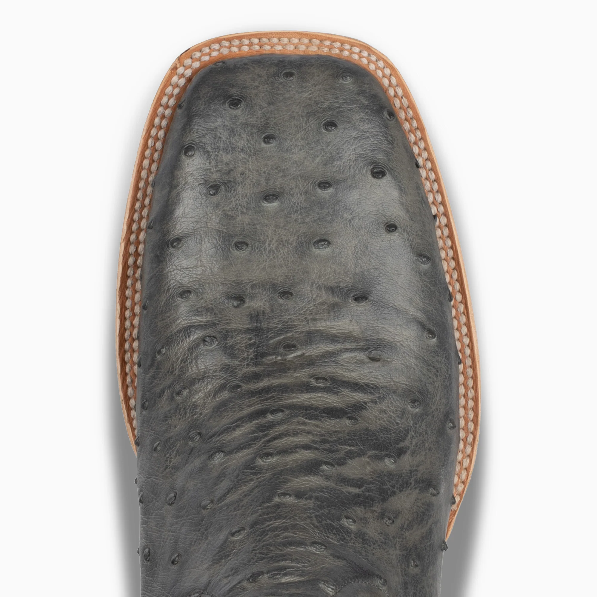 Grey Full Quill Ostrich - Square - Image 6