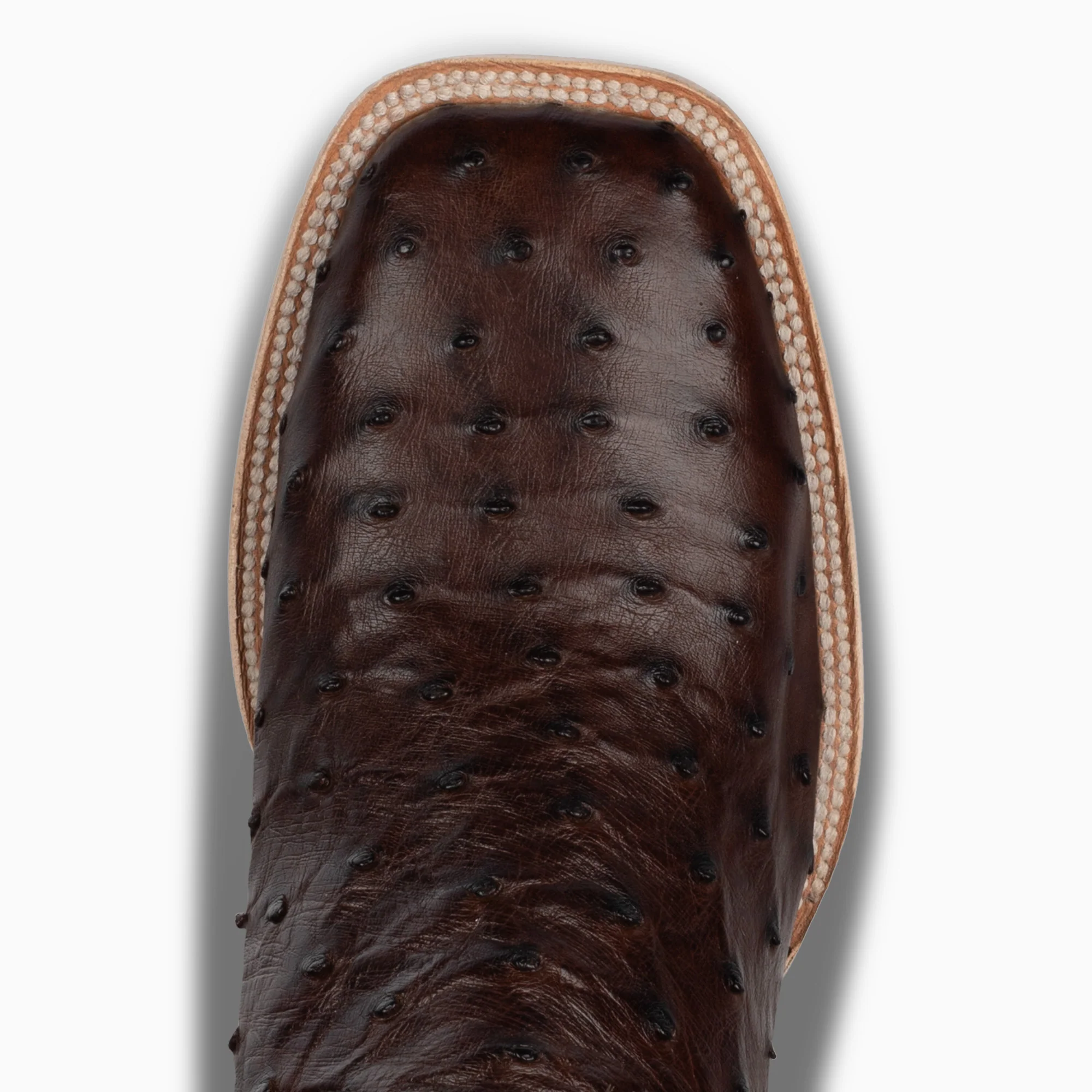 Sienna Full Quill Ostrich - Square - Image 6