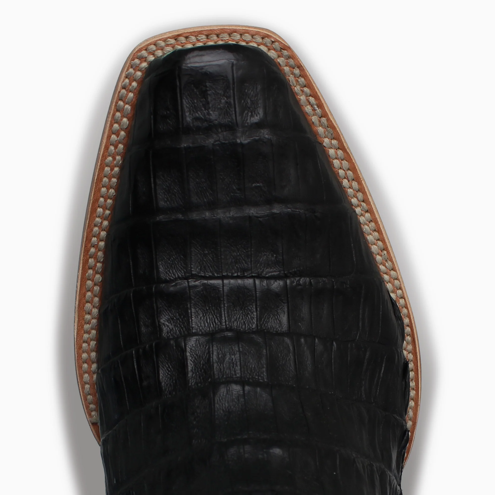 Black Caiman - Cutter - Image 6