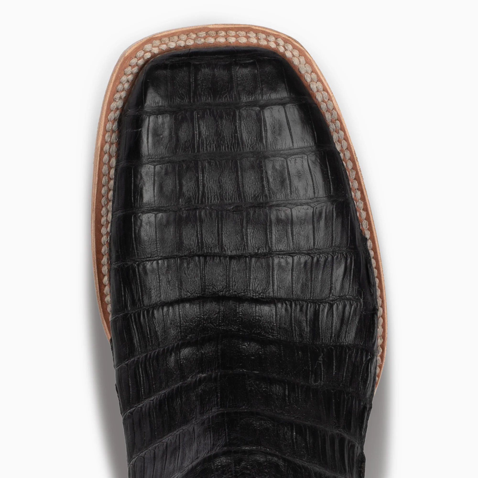 Black Caiman - Square - Image 6