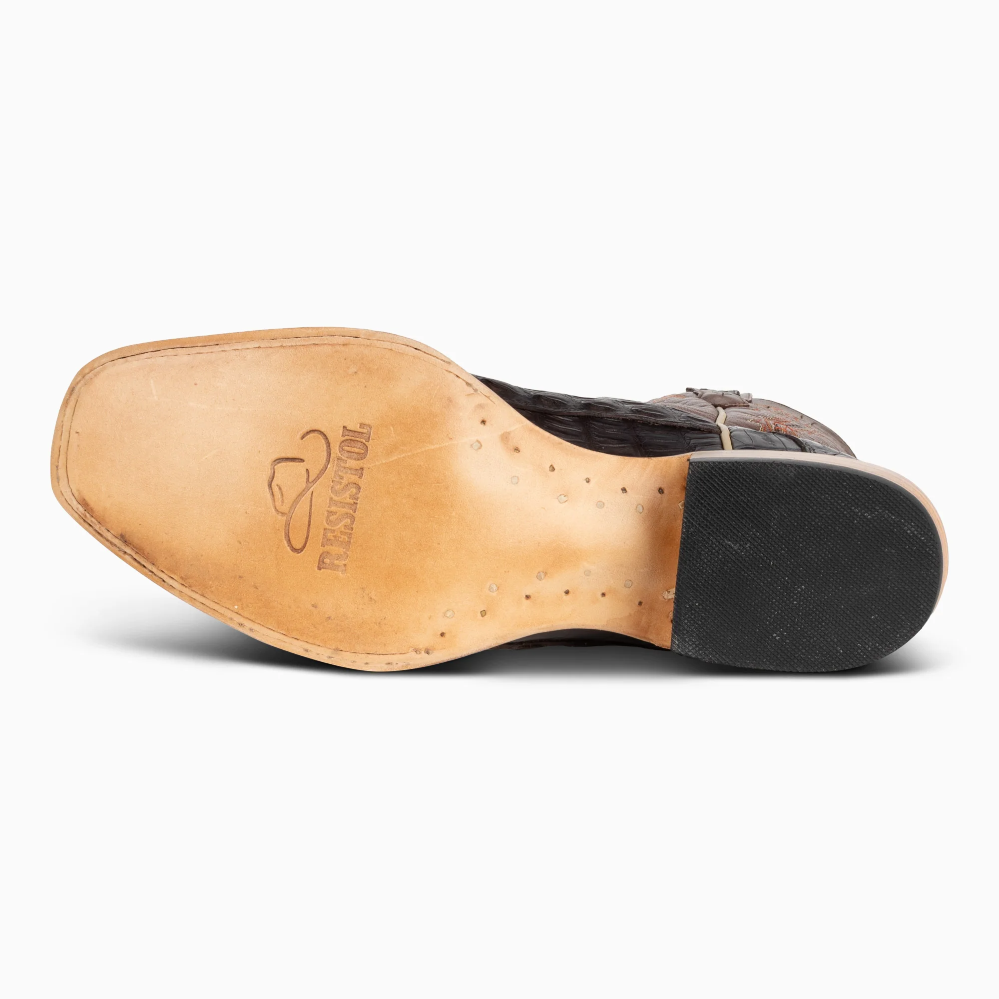 Chocolate Caiman - Cutter - Image 6