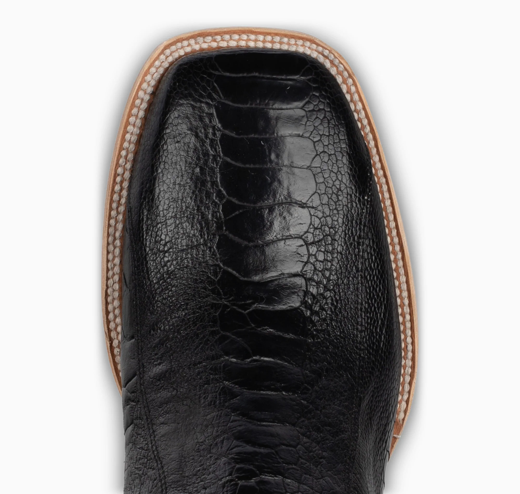 Black Ostrich Leg - Square - Image 6