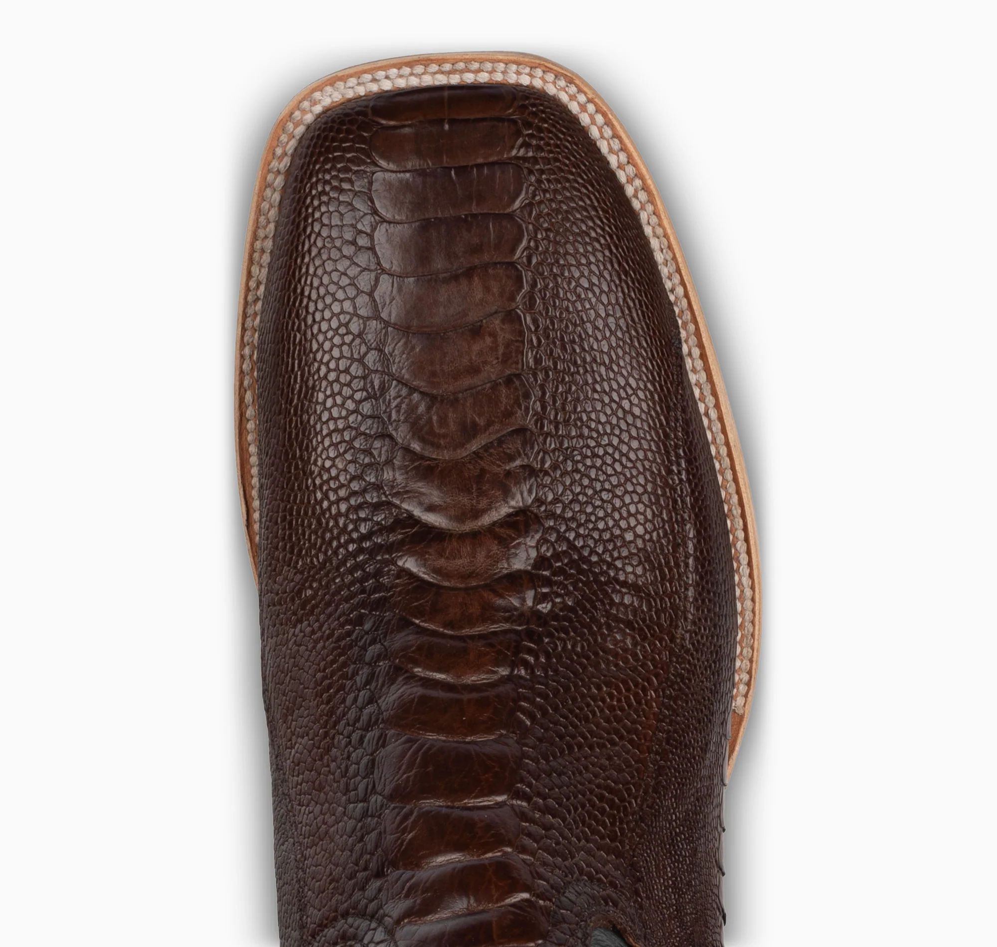 Chocolate Ostrich Leg - Square - Image 6