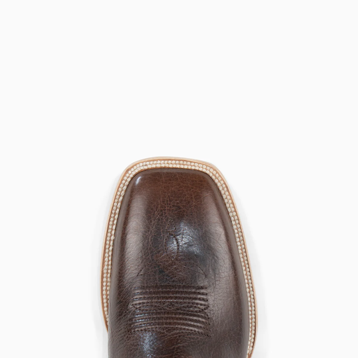 Chocolate Bison - Square - Image 6