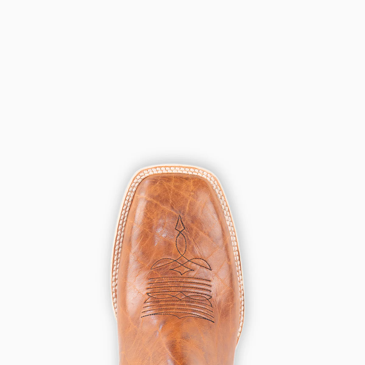 Golden Tan Bison - Square - Image 6