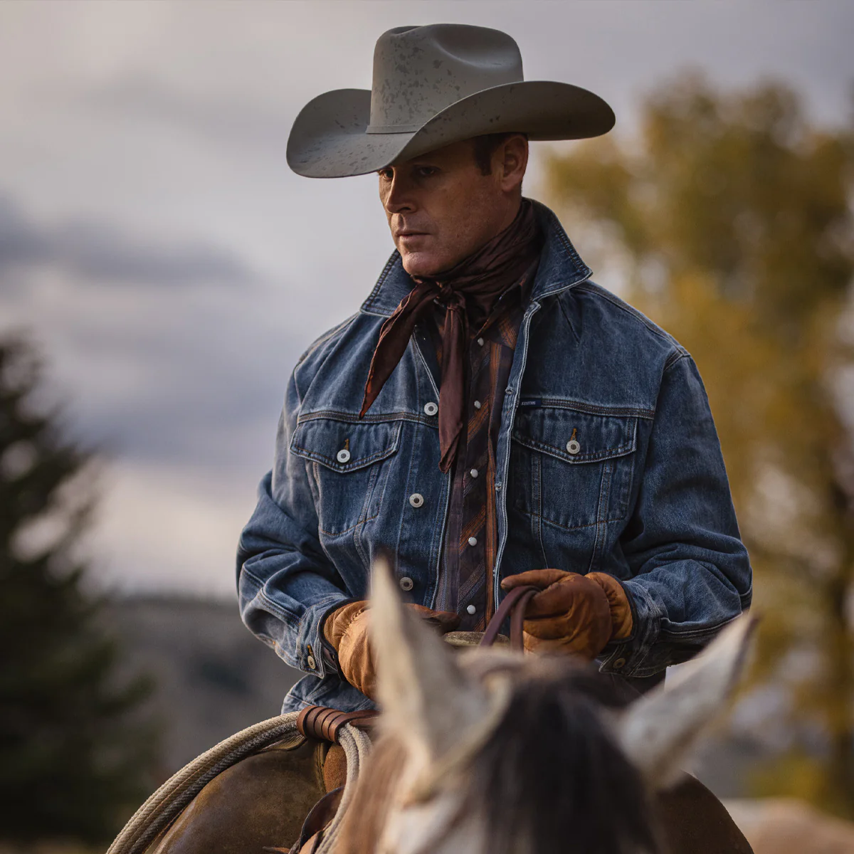 20X Tarrant Cowboy Hat - Image 2