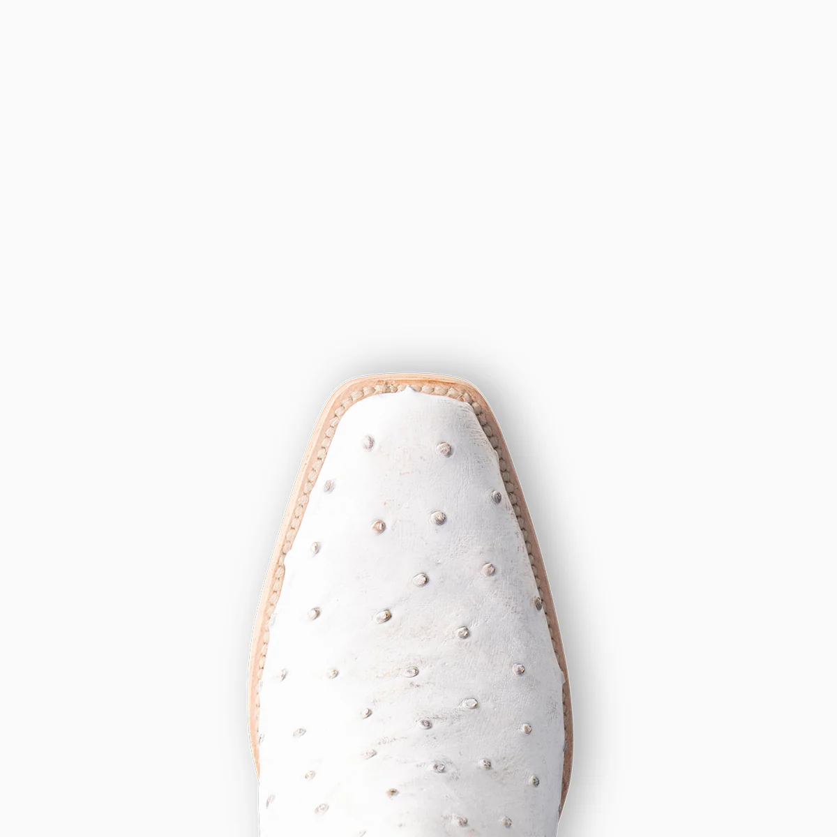 Bone Full Quill Ostrich - Women's Cutter - Image 6